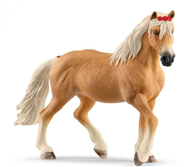 SHL13950 - Yegua Haflinger - 1