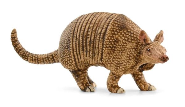 SHL14874 - Armadillo - 1