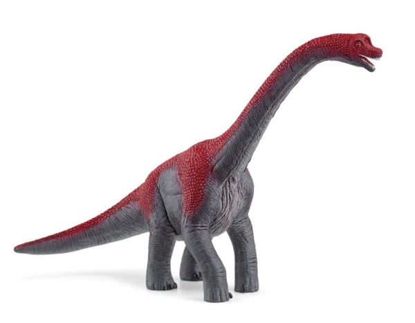 SHL15044 - Brachiosaurus - 1