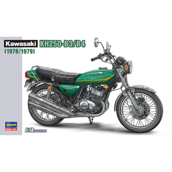 HAW21508 - 1978/1979 KAWASAKI KH250-B3/B4 Motocicleta para construir y pintar - 1