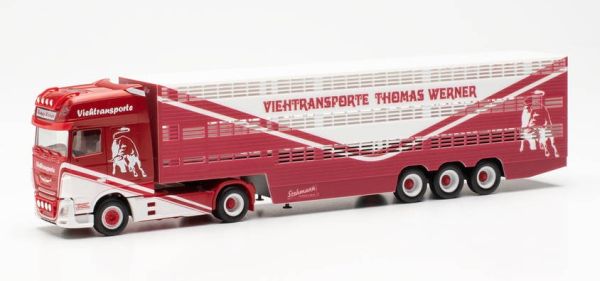 HER315449 - DAF XF SSC 4x2 con remolque para ganado de 3 ejes THOMAS WERNER - 1