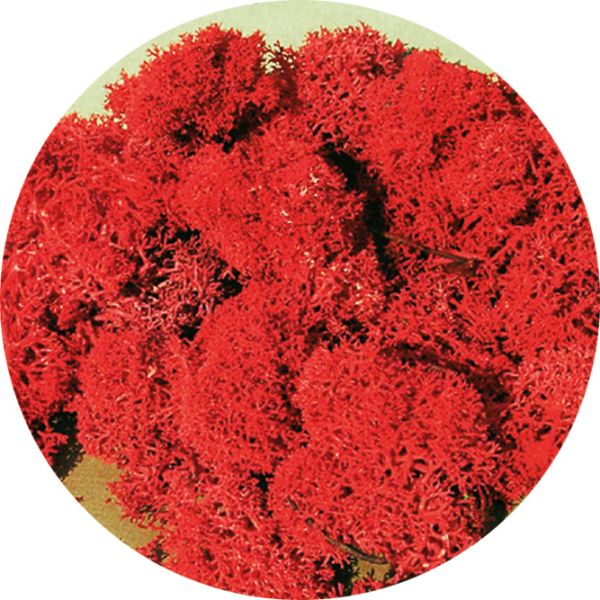 HEK3213 - Liquen rojo 30 g - 1