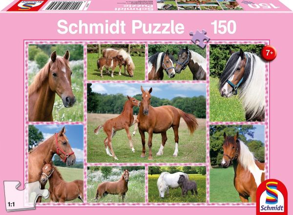 SCM56269 - Puzzle Sueños de caballos - 150 piezas - 1