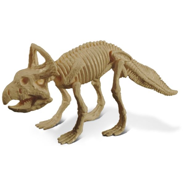 GEOCL3201C - Museo Jurassix - Protoceratops - 1