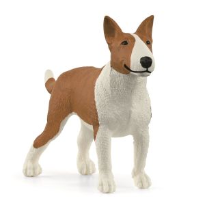 SHL13966 - Bull Terrier