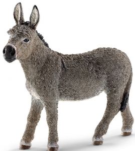 SHL13772 - Burro