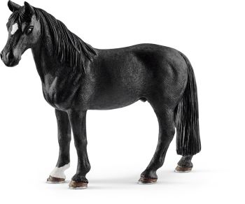 SHL13832 - Tennessee Walker Castrado